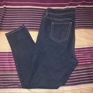 Torrid Jeans